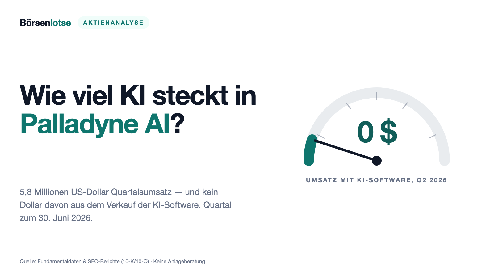 Palladyne AI: Der Umsatz springt um 470 Prozent — die KI-Software hat davon keinen Dollar beigetragen